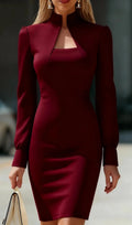 Elegant Long Sleeve Bodycon Dress Chic Fall/Winter Office & Party Midi Dress for Women
