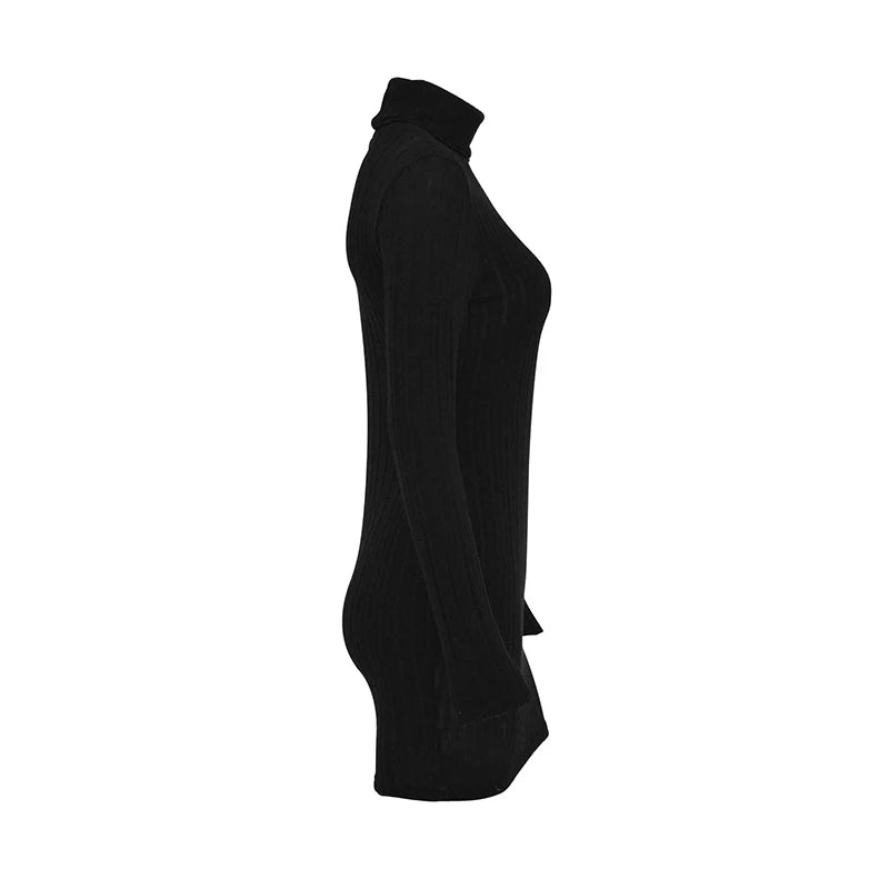 Autumn Winter New Dresses Women Long Sleeves Turtleneck Solid Sexy Bodycon Sheath Mini Dress Club Elegant Party Knitted Dresses