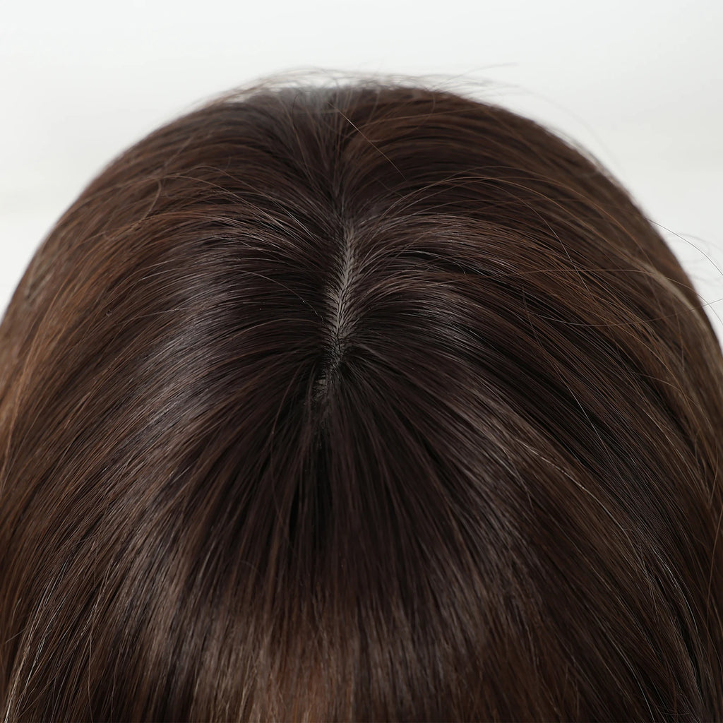 ALAN EATON Long Brown Highlight Synthetic Wigs Layered Straight Hair Wig Realistic Fake Hair for Daily Wear High Temperature Wig