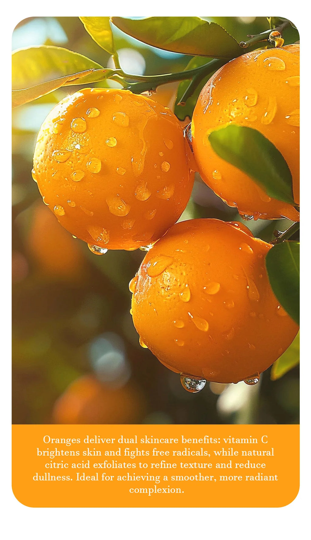 Orange Exfoliating Gel 50g, Exfoliation, Dead, Removal Deeply Cleansing, Long-Lasting,Moisture Cleanses Pores,Safe for Full Body